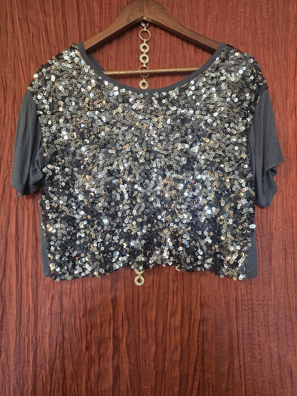Hollister Silver Sequin Cropped Top